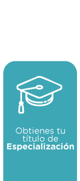 ESCALAFON-DOCENTE-3 11 ESCALAFON-DOCENTE-3 11